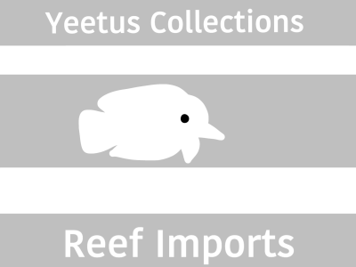 Yeetus Collections - Reef Imports