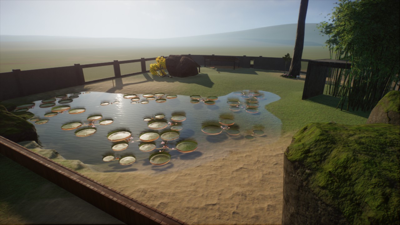 Galapagos Giant Tortoise habitat