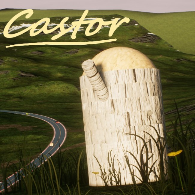 Castor
