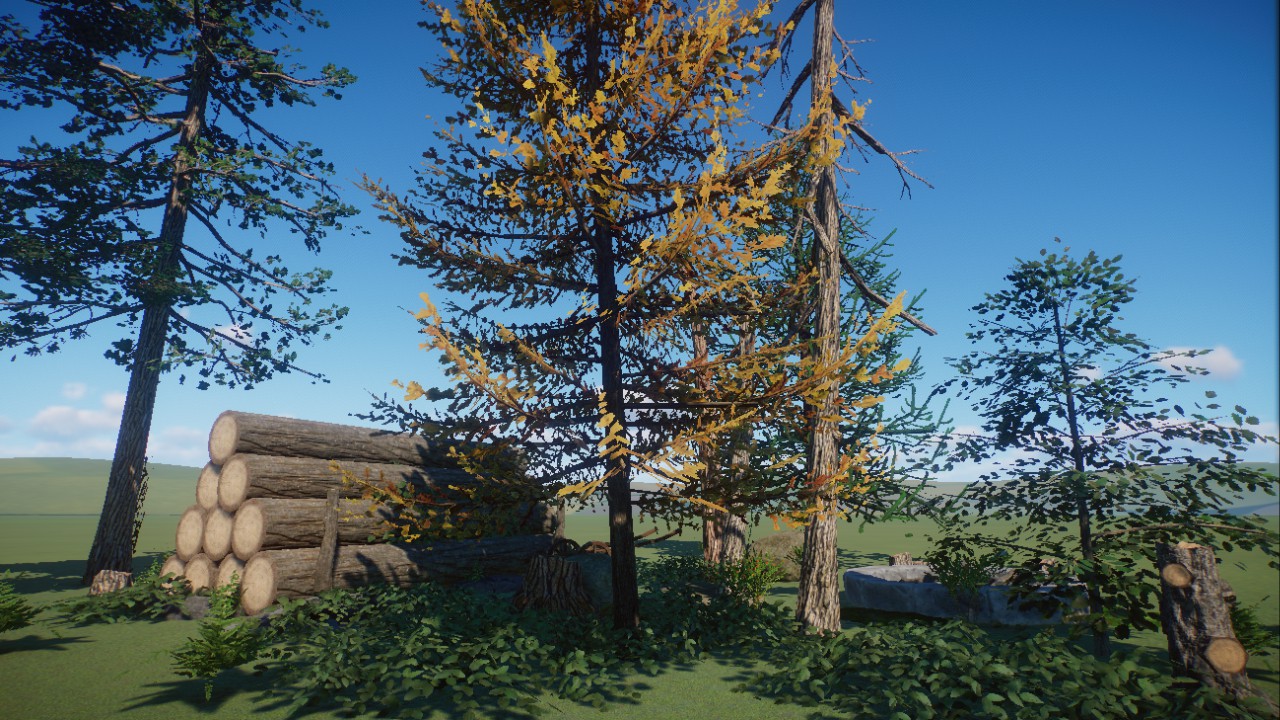 Forest Scenery 5