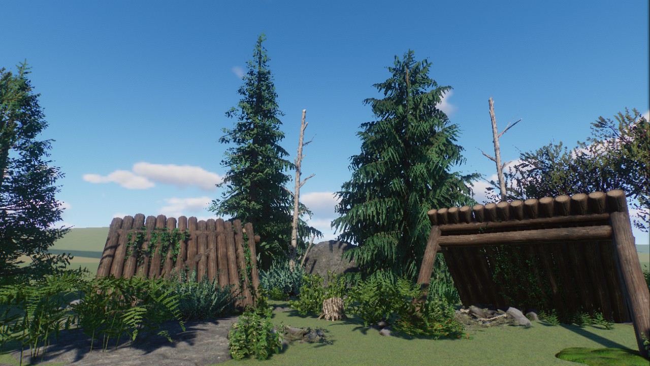 Forest Scenery 9