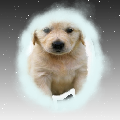 Spring - Puppydog Swing