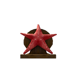 Starfish Sculpture