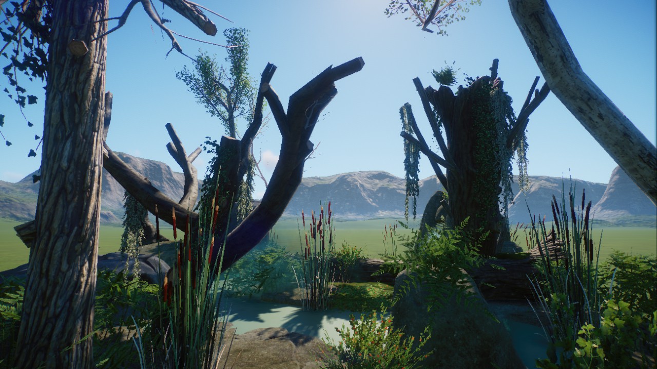 Forest Scenery 6