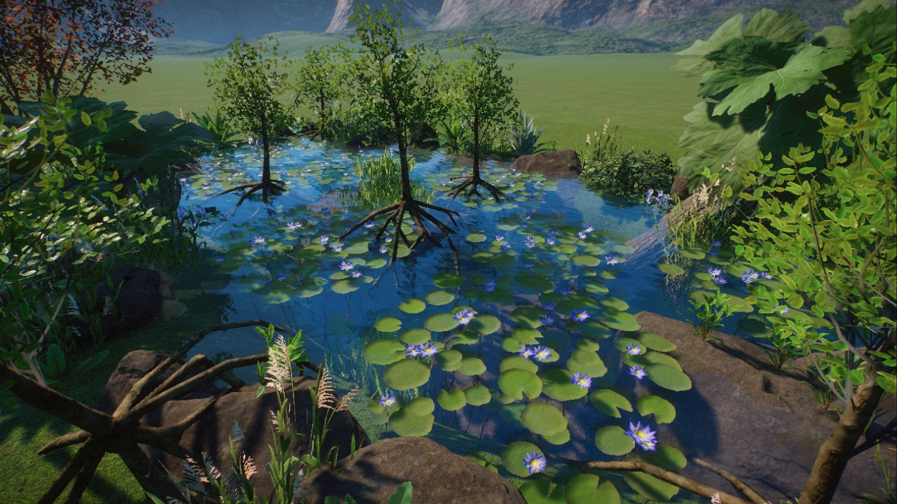 Tropical Pond