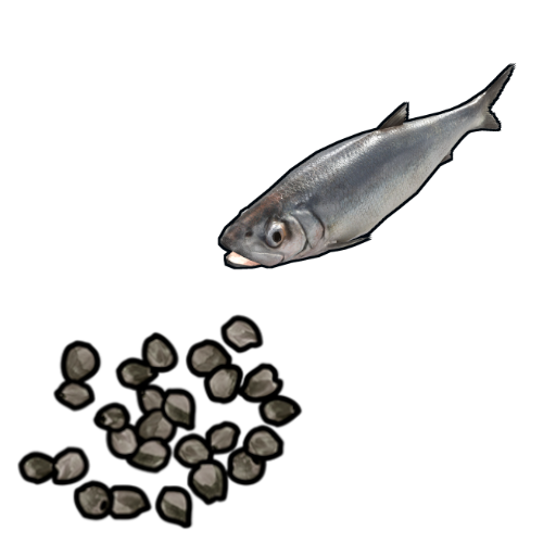 Herring Seed