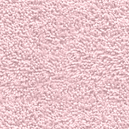 Peach Shag Carpet 10x10