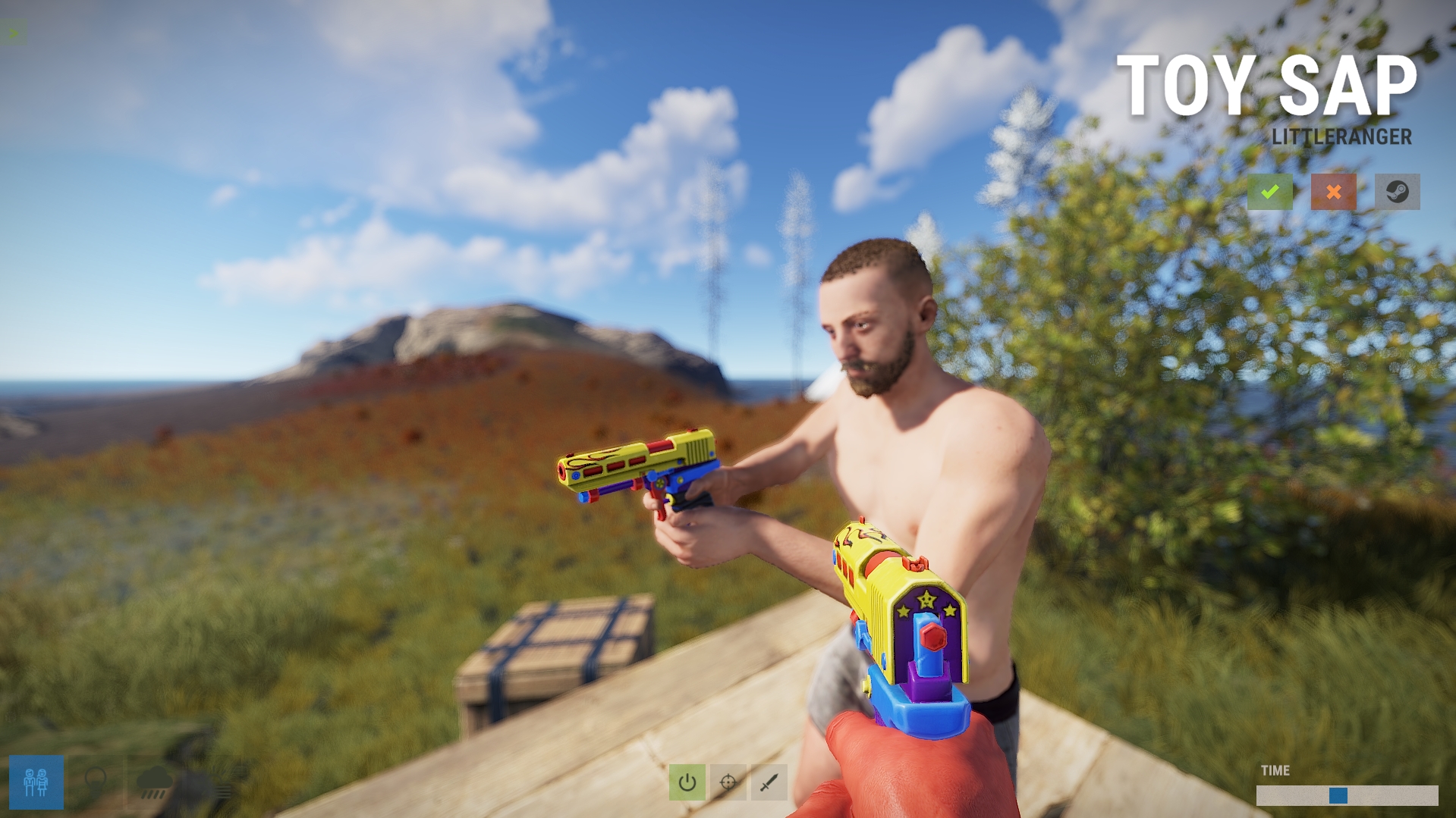 Toy SAP