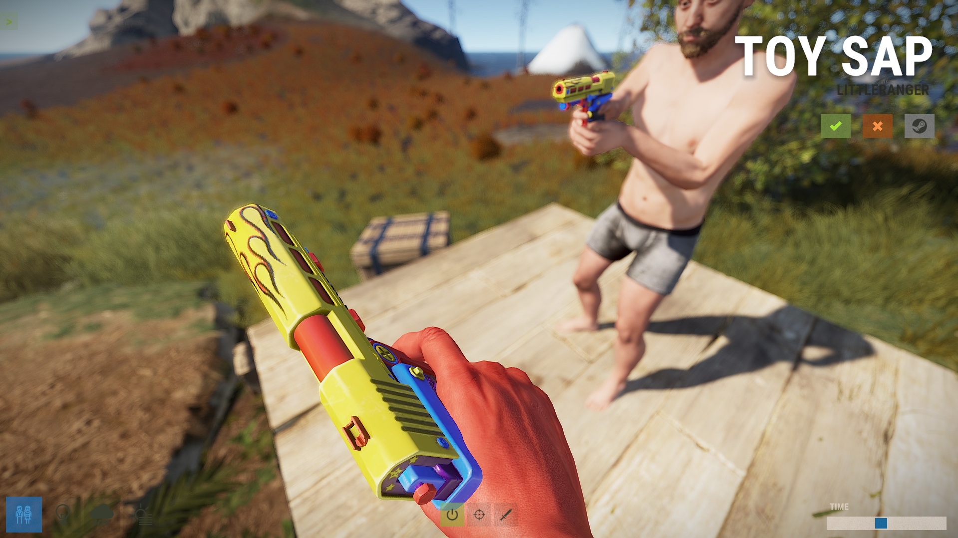 Toy SAP