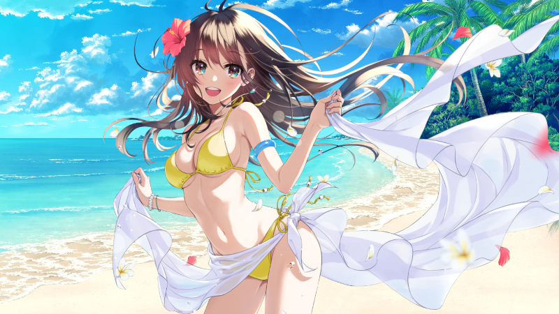 Anime 11