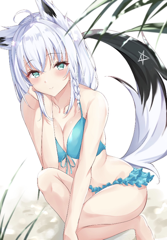 Anime 22