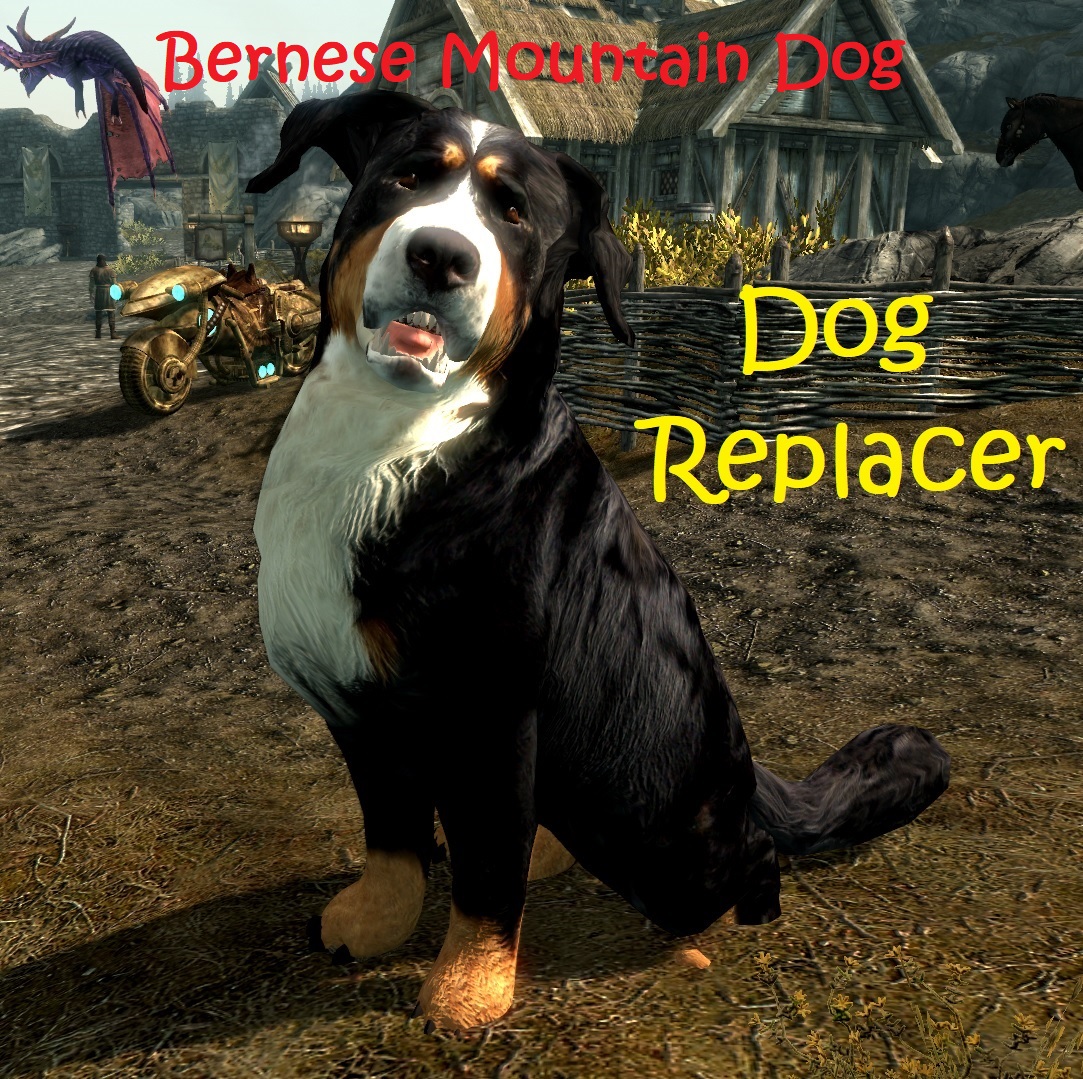 Bernese Mountain Dog Replacer