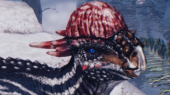 Woodpecker Pachy (Winter 2021)