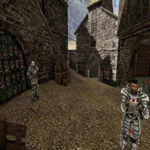 Z woli Krola Armor Overhaul