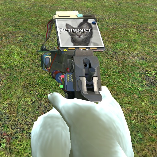 my friend's cat miso for toolgun screen