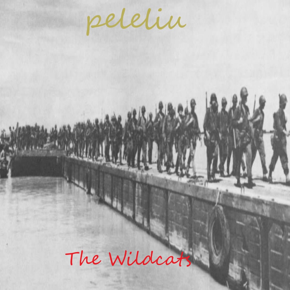 Peleliu Part X: The Wildcats [Mission]