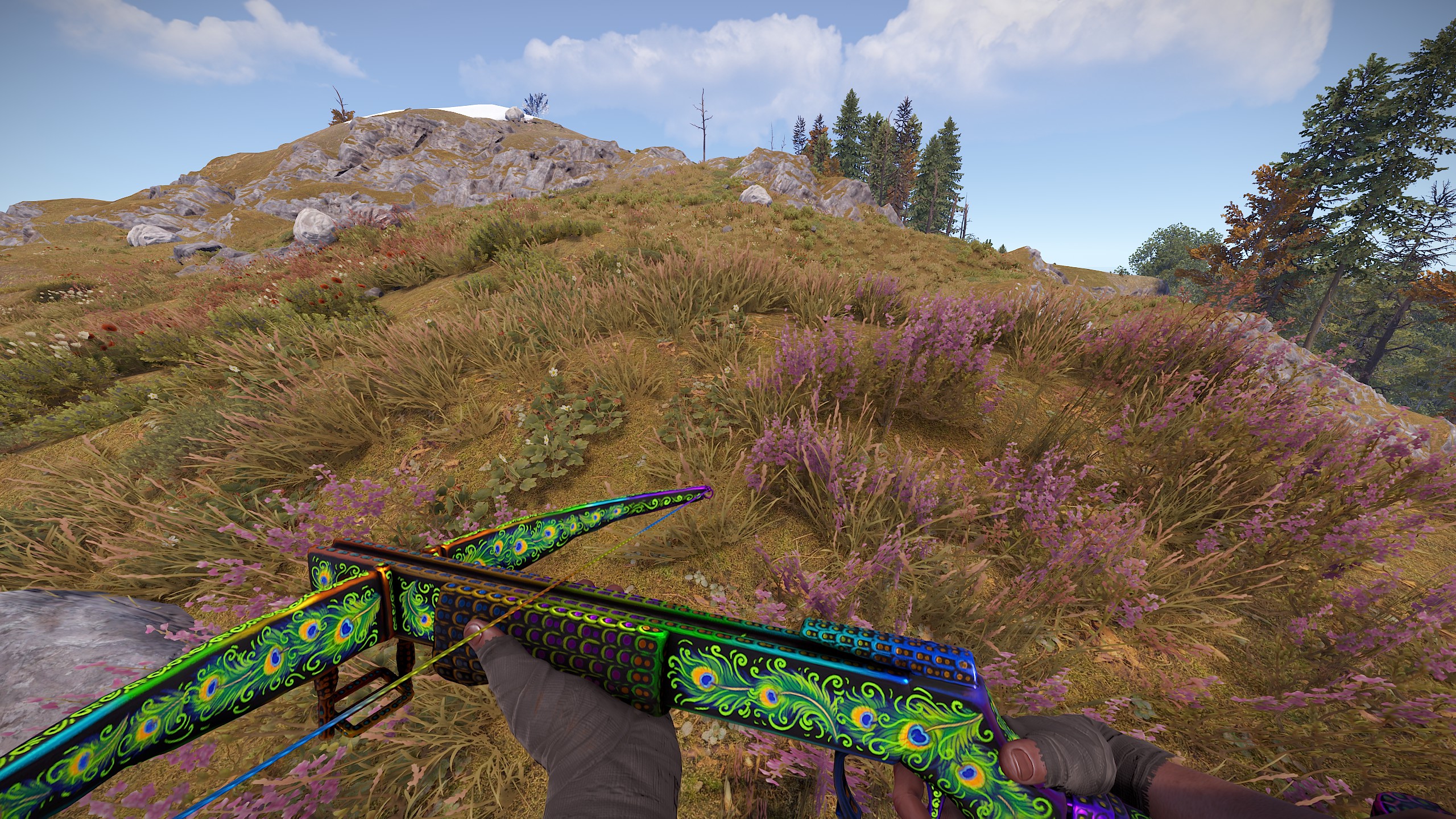 Bird of Luck Crossbow