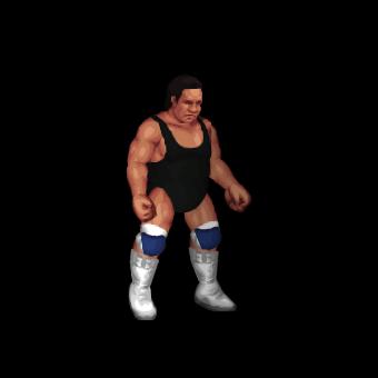 Wahoo McDaniel