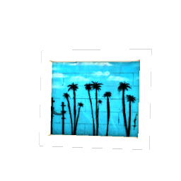 Standing Photo - Palm Tree Art