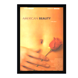 American Beauty Framed Movie Poster
