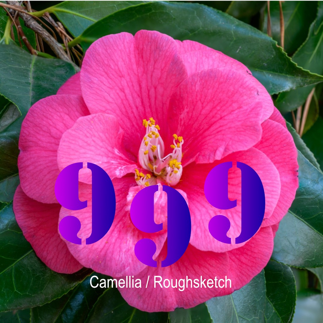 999 ("666" Camellia's Unofficial / Rejected Remix)