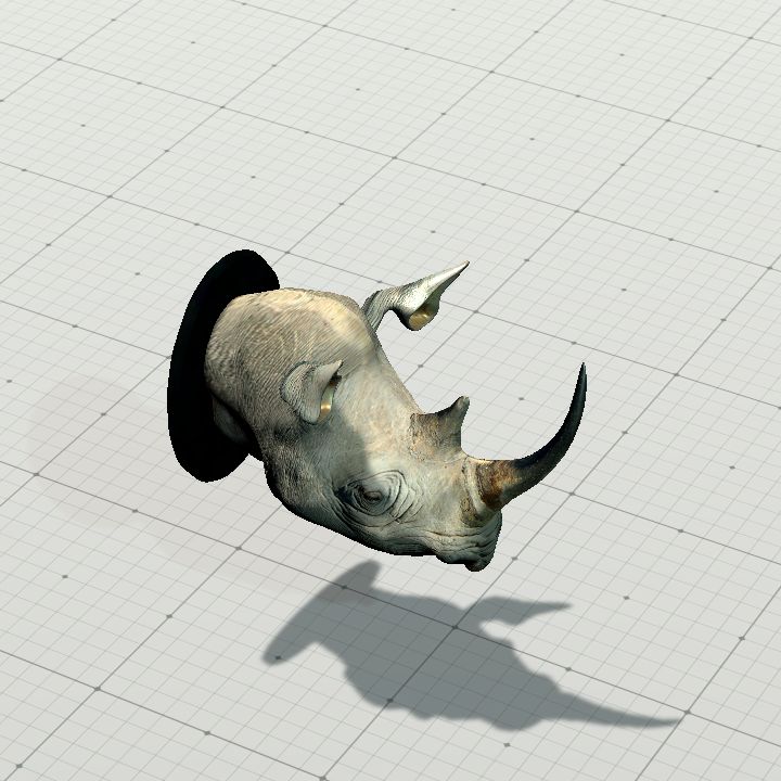 Trophy, Rhinoceros' Head