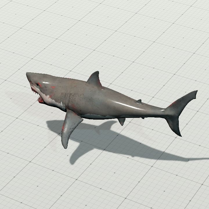 Shark, Great White (Hungry)