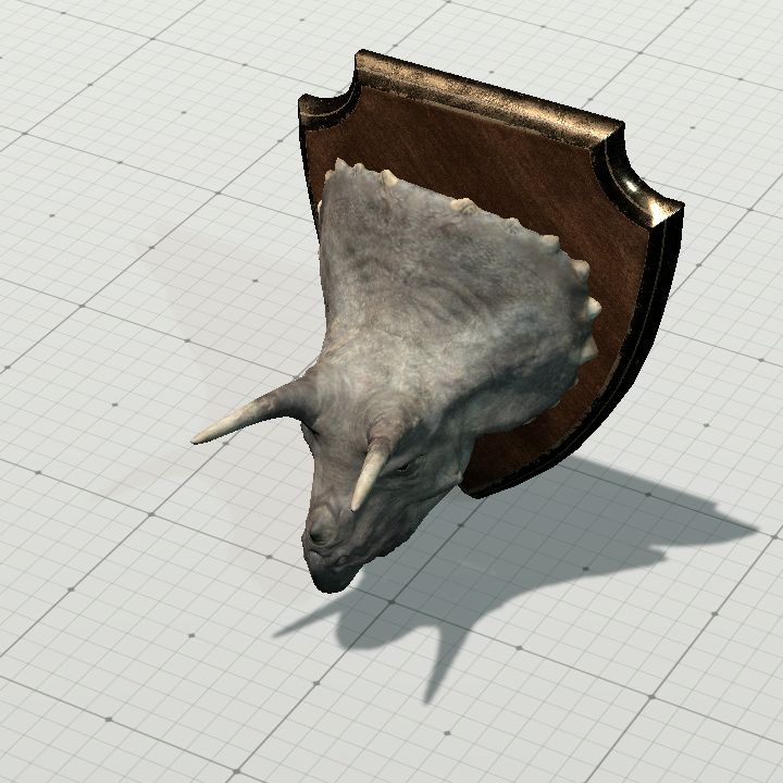Trophy, Triceratops