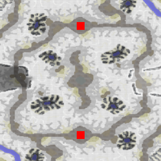 Snowy Roads
