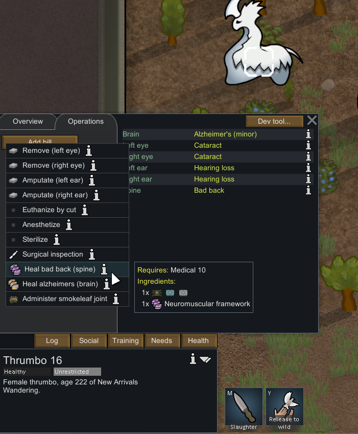 EPOE surgeries for animals