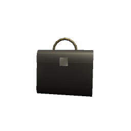 Black Purse