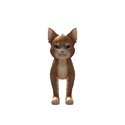 Ginger Cat