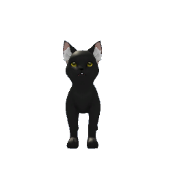 Black Cat