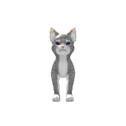 Grey Cat