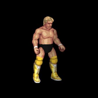 Dustin Rhodes