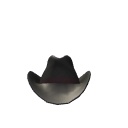 Cowboy Hat- Black