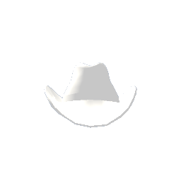 Cowboy Hat- White