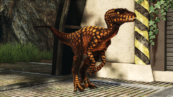 Firefly Novaraptor