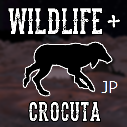 Wildlife+ [Crocuta] 日本語訳　JP