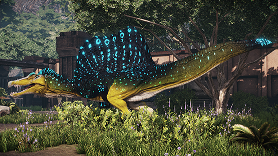 [ACCEPTED] Mahi Mahi Spino