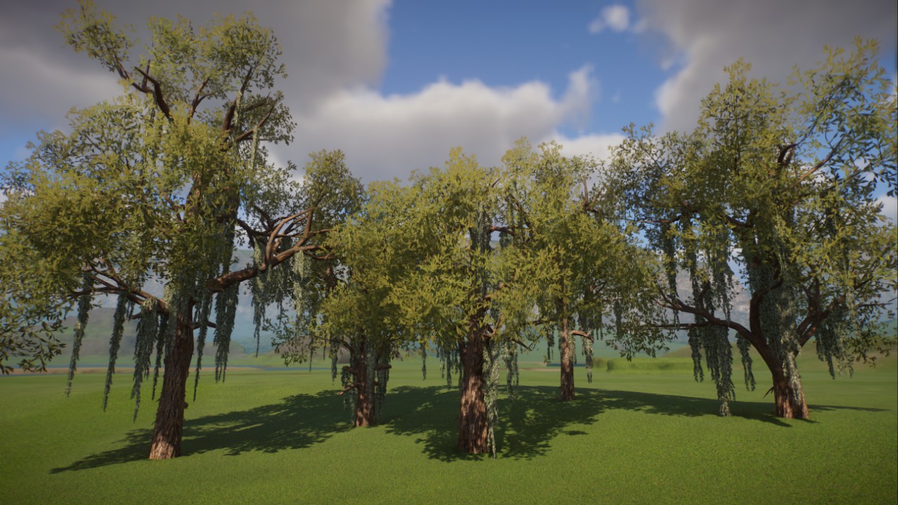 Spanish Moss Custom Tree