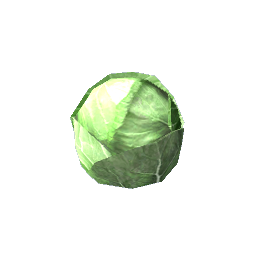 Cabbage (Growing)