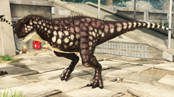 Plum Carno