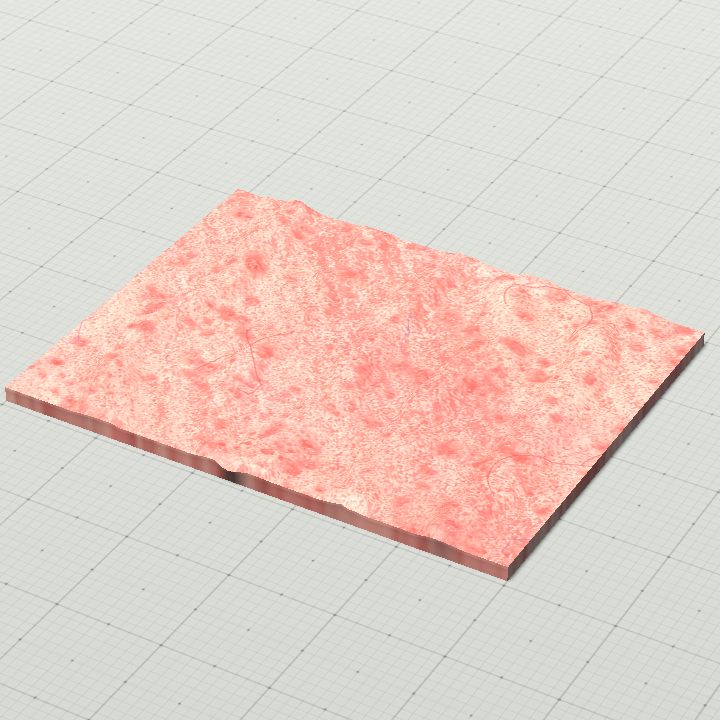 Flesh Floor 1
