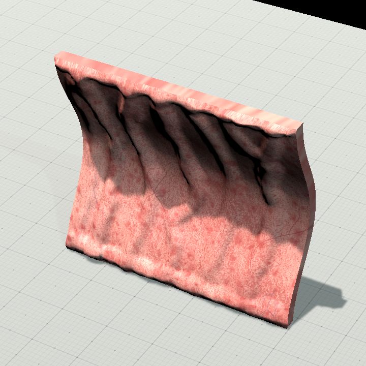Flesh Wall - Left