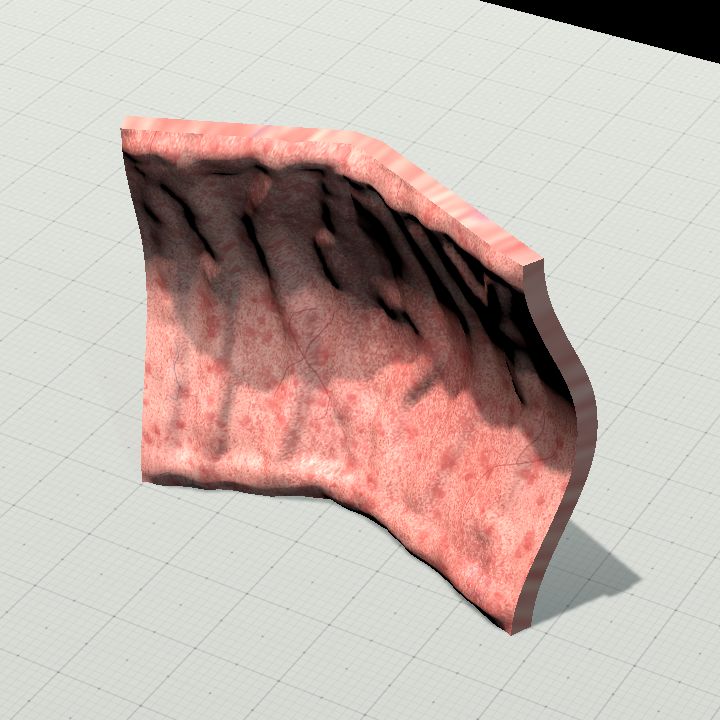 Flesh Wall Curved 1