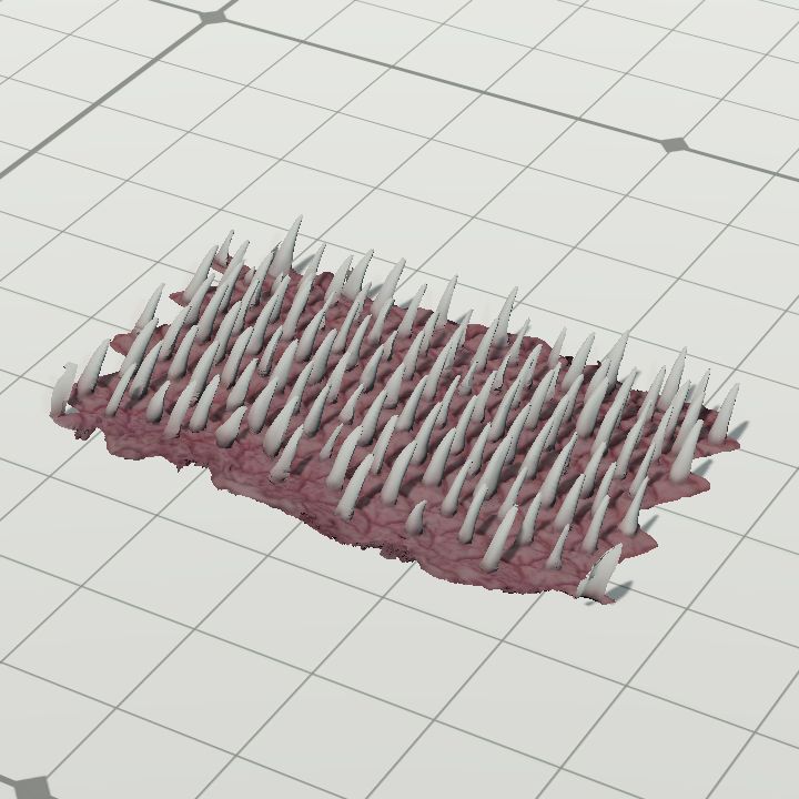 Floor of Fangs