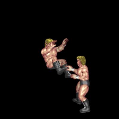 Front Dropkick B (counter)