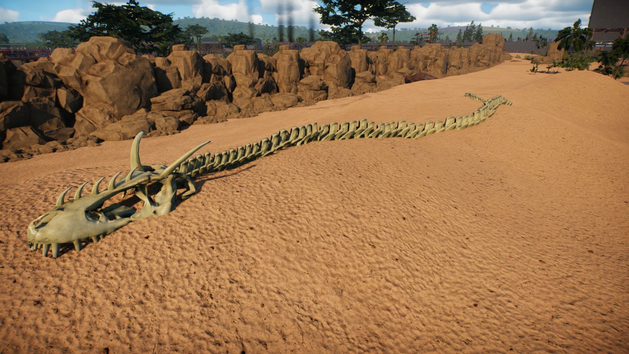 Krayt dragon Skeleton