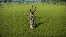 arbre mort 01 JJ